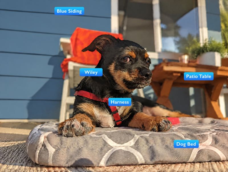 After: the same photo with searchable tags applied